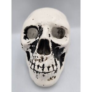 Unbranded Skull Planter Bowl OS White Good Distressed Ceramic Gothic Decor